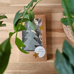 distelroos-Gift-set-Zeephanger-kerstboom-Fijne-feestdagen