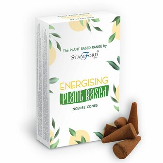 distelroos-Stamford-SPBiC-14-Plantaardige-Masala-Wierookkegels-Energie