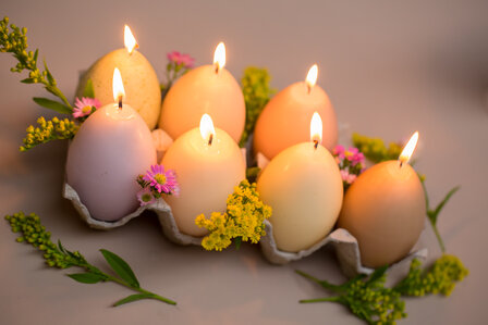 distelroos-Rustik-Lys-Egg-tray-groen