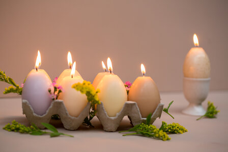 distelroos-Rustik-Lys-Egg-tray-groen