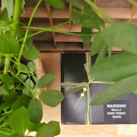 distelroos-Lemon-CrushCulinaire-cadeaubox-M