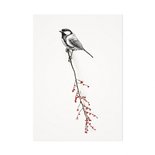 Mélisse - Card The great tit
