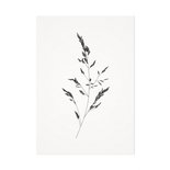 Mélisse - Card The grass