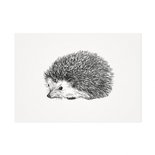 Mélisse - Card The Hedgehog