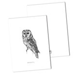 BDdesigns - Card Tawny owl