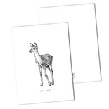 BDdesigns - Card Red deer