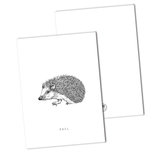 BDdesigns - Card Hedgehog