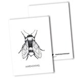 BDdesigns - Card Bumblebee