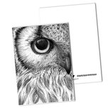 BDdesigns - Card Owl