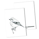 BDdesigns - Card Robin
