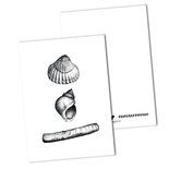 BDdesigns - Card Shells