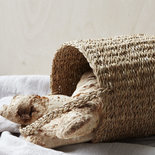 Nicolas Vahé - Basket Use