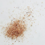 Nicolas Vahé - Salt with parmesan cheese, tomato & basil