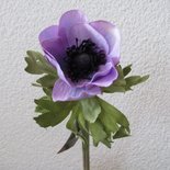 KD Home - Anemone lavender