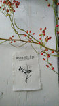 Op de Maalzolder - Cards Botanical A6 s/4