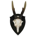 Light & living - Wall ornament Antler brown