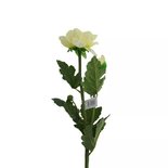 PTMD - Artificial flower cream