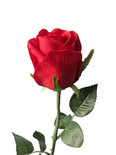 PTMD - Artificial flower Rose red