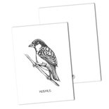 BDdesigns - Card Sparrow