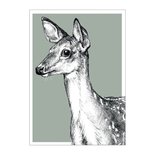 BDdesigns - Card Wildlife Deer