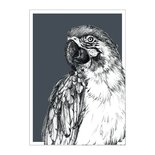 BDdesigns - Card Wildlife Parrot