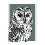 BDdesigns - Card Wildlife Owl