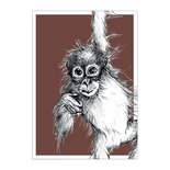 BDdesigns - Card Wildlife Orangutan