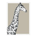 BDdesigns - Card Wildlife Giraffe