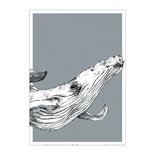 BDdesigns - Card Wildlife Whale