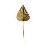 Mars & more - Palm leaf branch dried pointed 50 cm