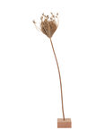 Mijn Stijl - Holder for dried flower wood S