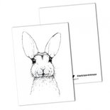 BDdesigns - Card Hare