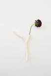 Kesemy design - Twig vase