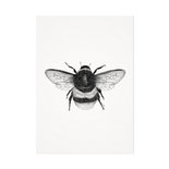Mélisse - Card The bee