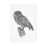 Mélisse - Card The owl