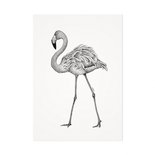 Mélisse - Card The red flamingo