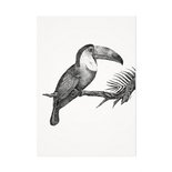Mélisse - Card The toucan