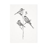 Mélisse - Card One, two, three birds