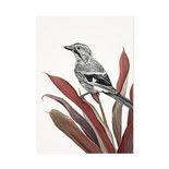 Mélisse - Card The Jay