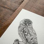 Mélisse - Card The owl