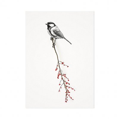 Mélisse - Card The great tit
