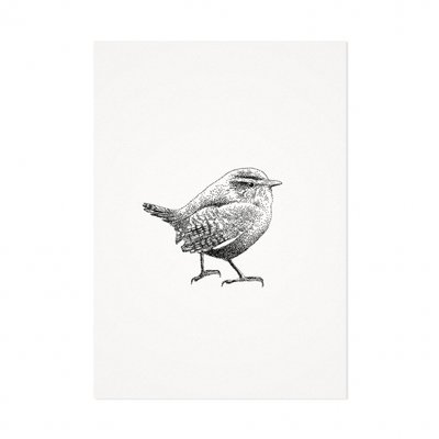 Mélisse - Card The wren