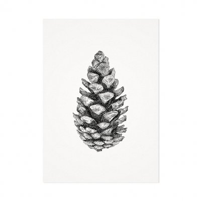 Mélisse - Card The pine cone
