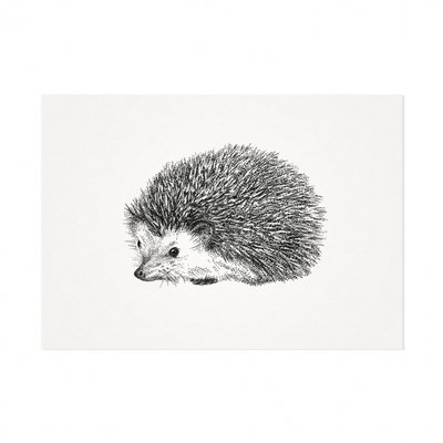 Mélisse - Card The Hedgehog