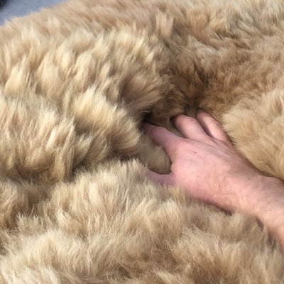 Inkari - Handmade Alpaca rug Reina Sandstone