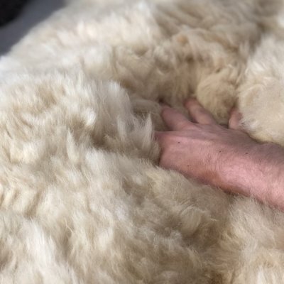 Inkari - Handmade Alpaca rug Reina Blond