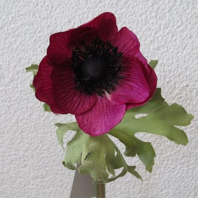 KD Home - Anemone fuchsia