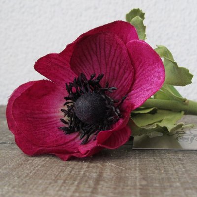 KD Home - Anemone fuchsia