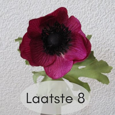 KD Home - Anemone fuchsia