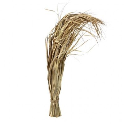 PTMD - Dried flowers grass